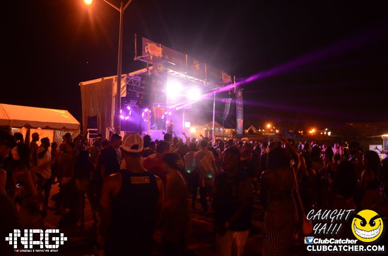 Pangea festival photo 455 - September 6th, 2015