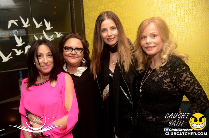 Ivy Social  nightclub photo 38 - April 9th, 2016