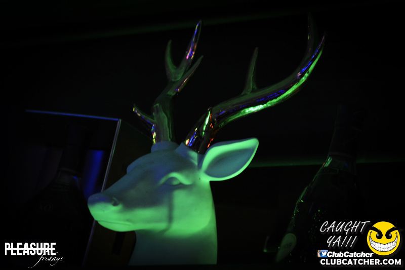 Studio Entertainment Theatre party venue photo 55 - April 22nd, 2016