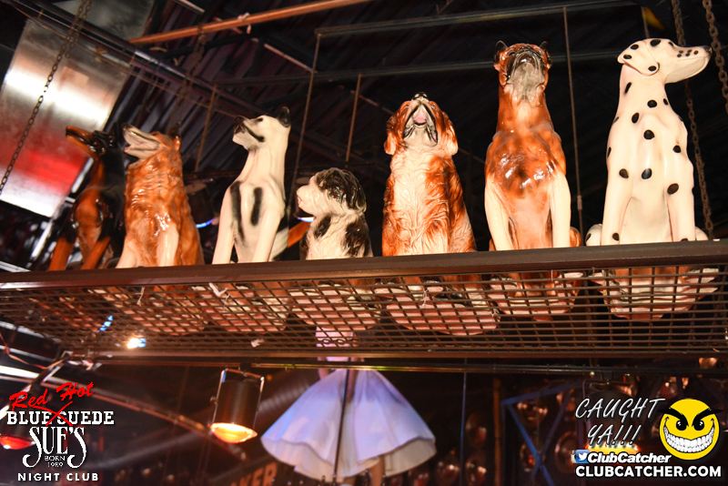 Blue Suede Sues nightclub photo 126 - April 28th, 2016