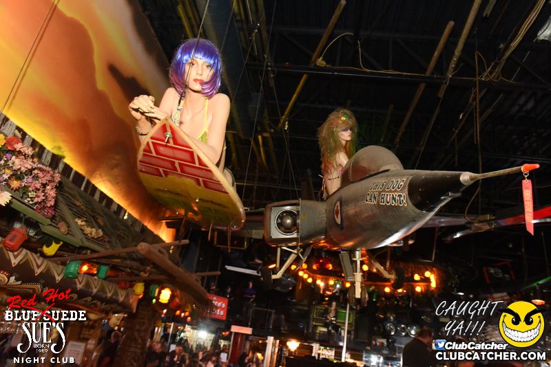 Blue Suede Sues nightclub photo 24 - April 28th, 2016