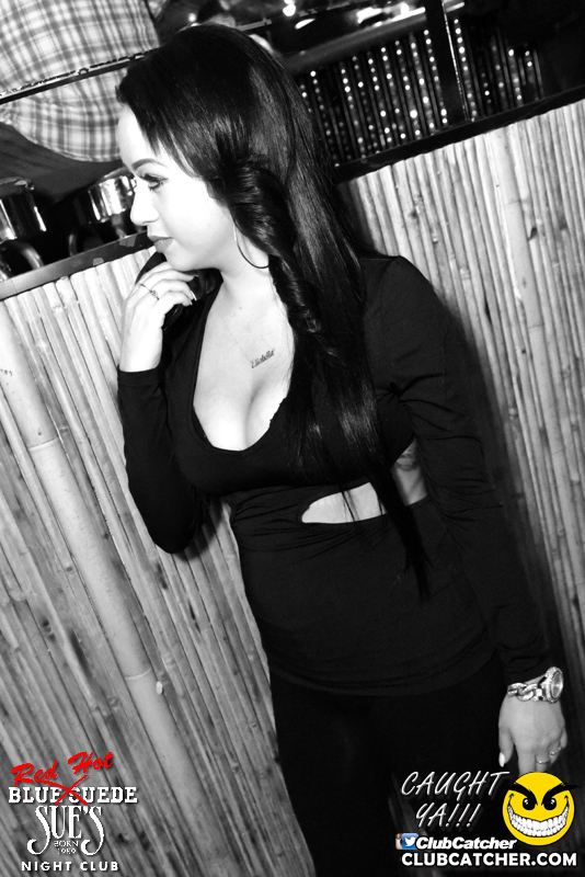 Blue Suede Sues nightclub photo 237 - April 28th, 2016