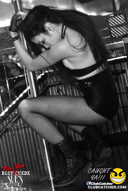 Blue Suede Sues nightclub photo 299 - April 28th, 2016