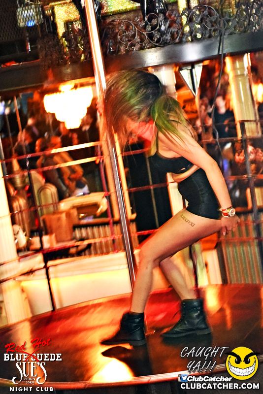 Blue Suede Sues nightclub photo 97 - April 28th, 2016