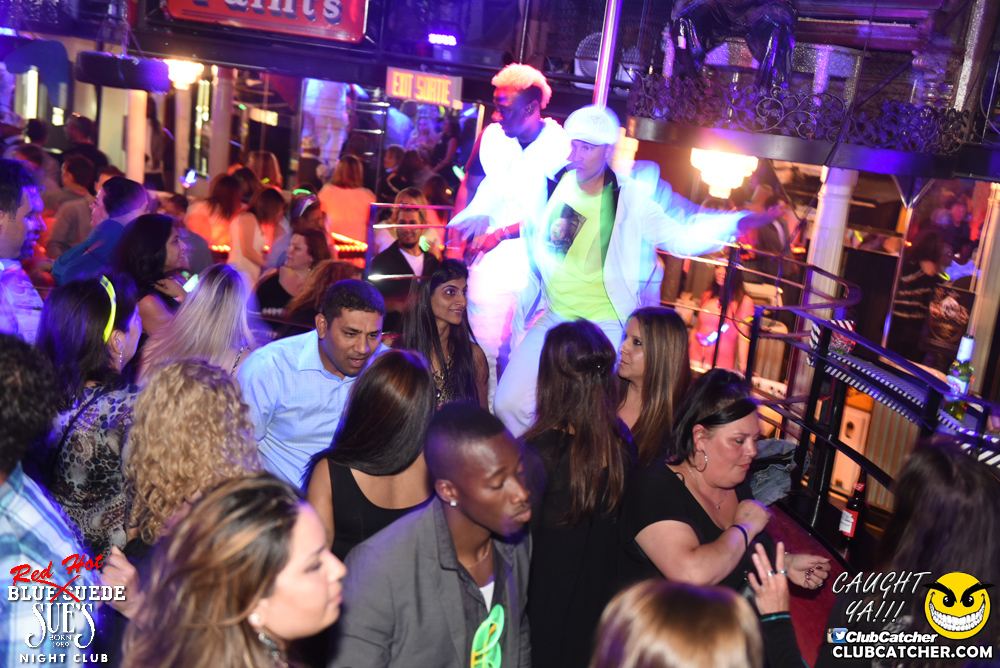 Blue Suede Sues nightclub photo 211 - June 10th, 2016
