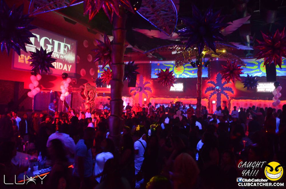 Luxy nightclub photo 18 - June 10th, 2016