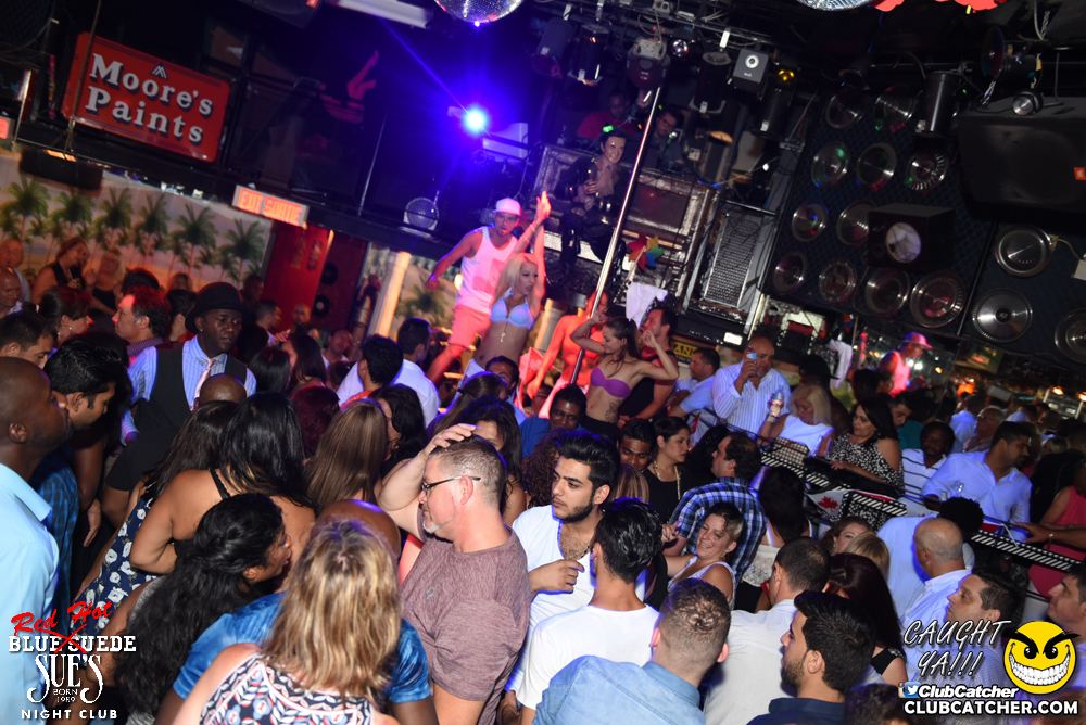 Blue Suede Sues nightclub photo 113 - July 9th, 2016