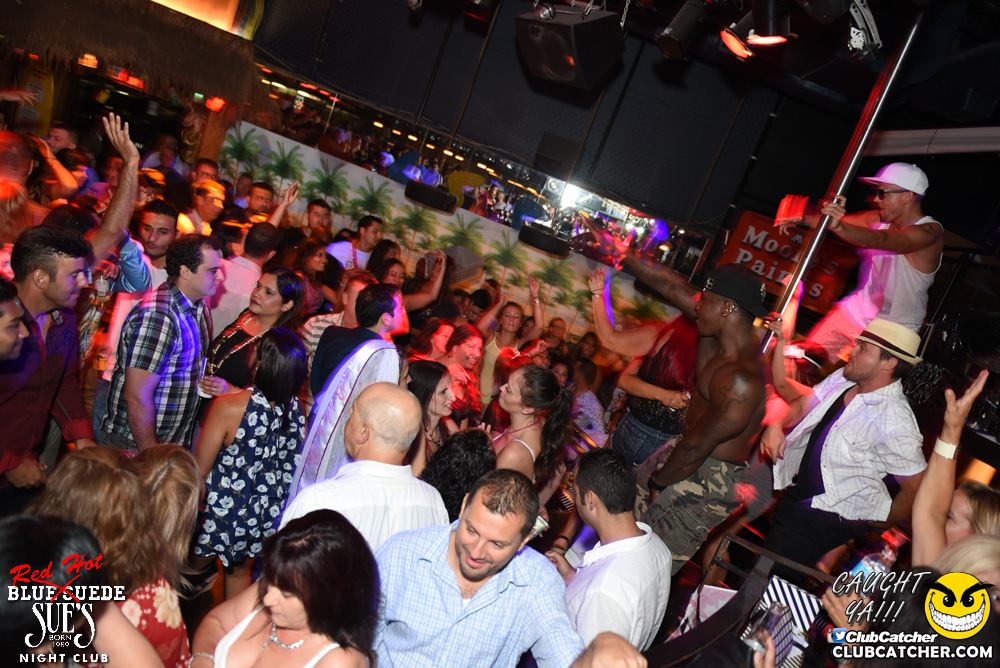 Blue Suede Sues nightclub photo 116 - July 9th, 2016