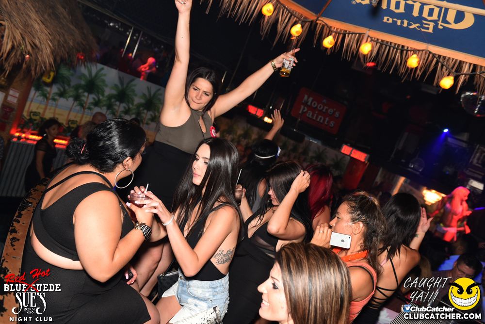 Blue Suede Sues nightclub photo 15 - July 9th, 2016