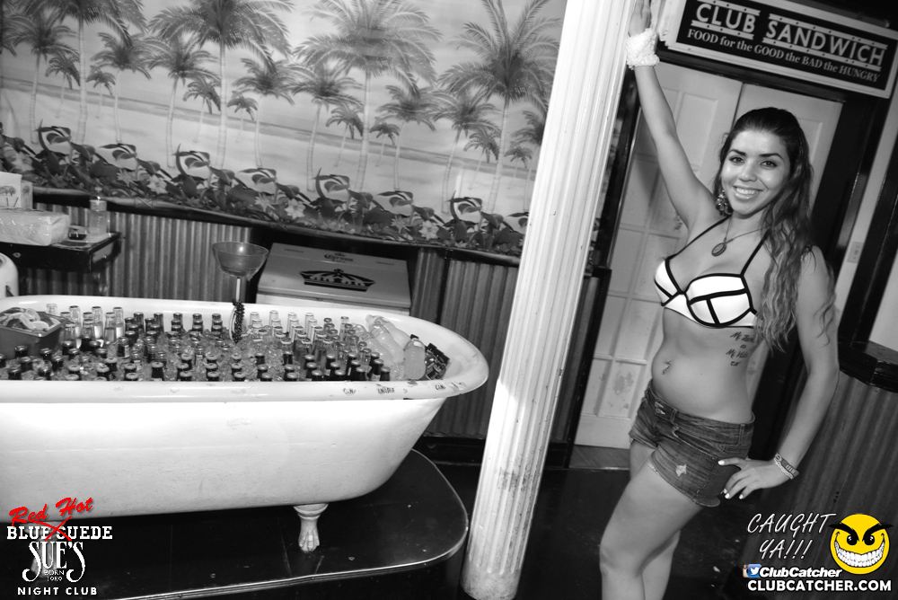 Blue Suede Sues nightclub photo 248 - July 9th, 2016