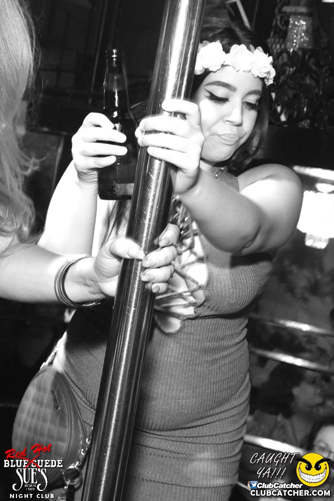 Blue Suede Sues nightclub photo 257 - July 9th, 2016