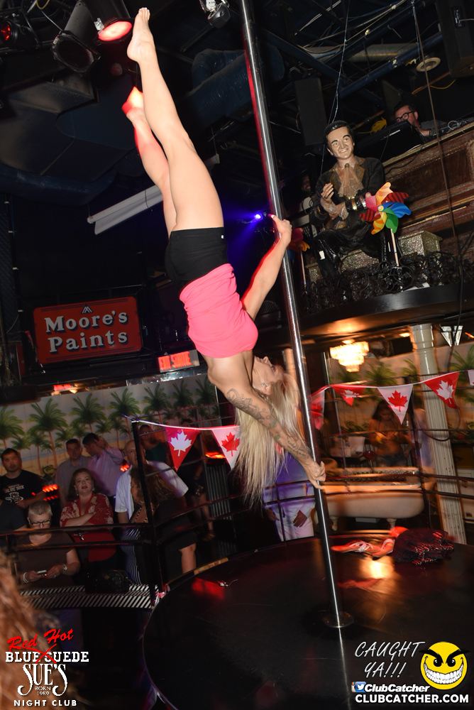 Blue Suede Sues nightclub photo 37 - July 9th, 2016