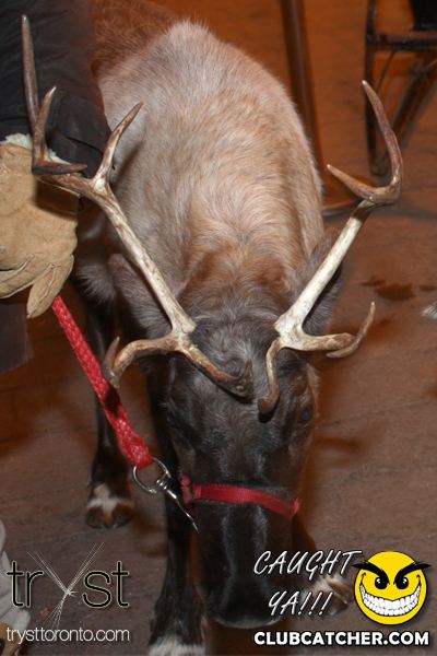 Tryst nightclub photo 46 - December 17th, 2011