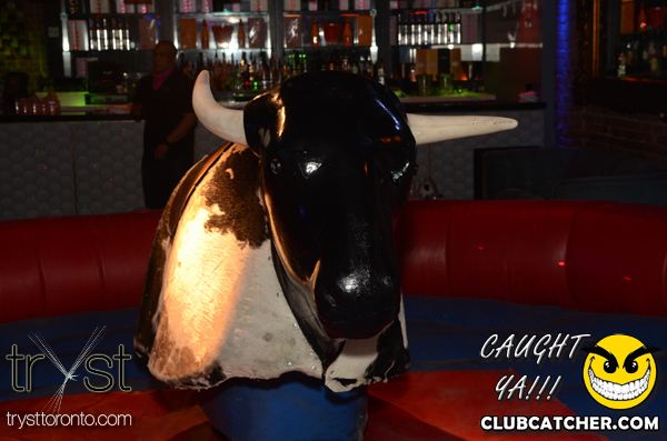 Tryst nightclub photo 300 - May 12th, 2012