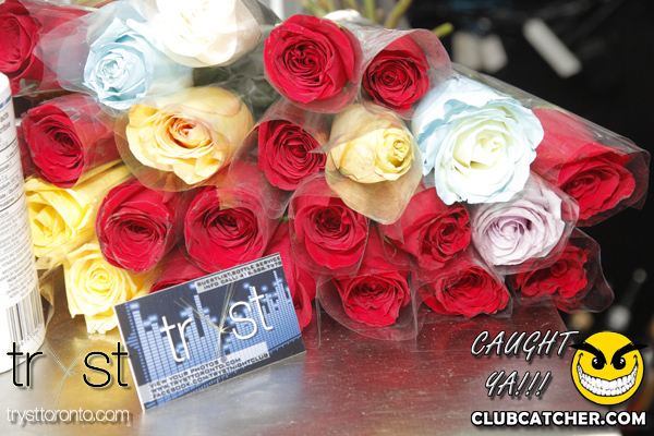 Tryst nightclub photo 108 - November 2nd, 2013