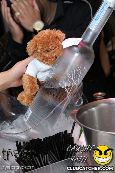 Tryst nightclub photo 18 - January 4th, 2014