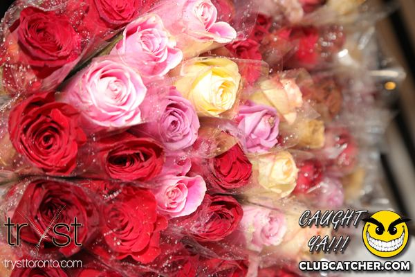 Tryst nightclub photo 281 - January 10th, 2014