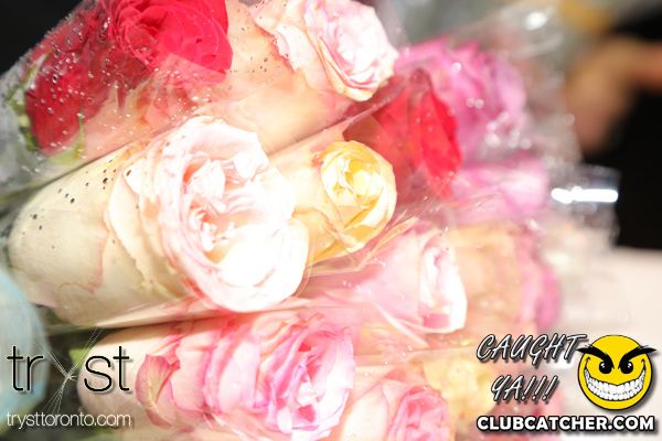 Tryst nightclub photo 83 - January 10th, 2014