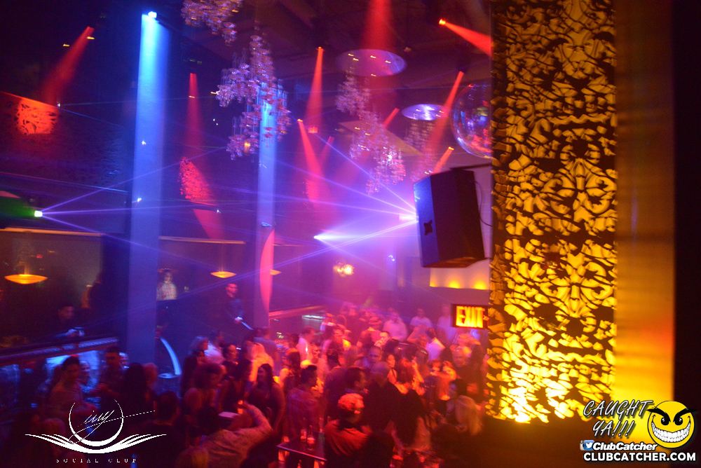 Ivy Social  nightclub photo 119 - July 22nd, 2016