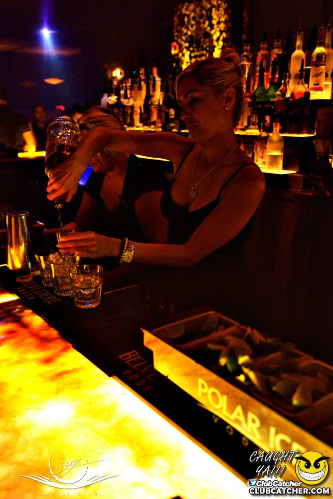 Ivy Social  nightclub photo 184 - July 22nd, 2016