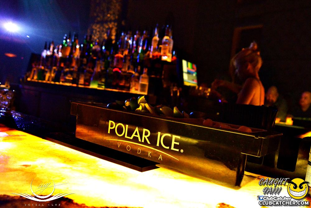 Ivy Social  nightclub photo 48 - July 22nd, 2016