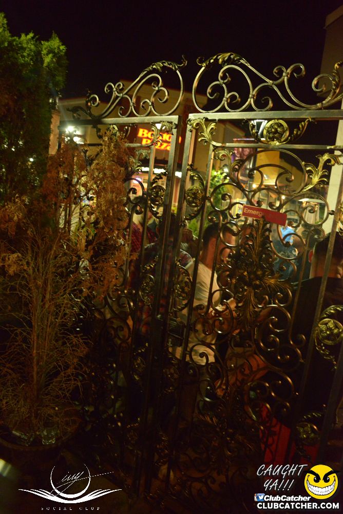 Ivy Social  nightclub photo 87 - July 22nd, 2016