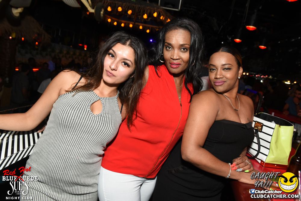Blue Suede Sues nightclub photo 61 - July 22nd, 2016