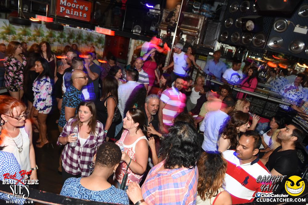 Blue Suede Sues nightclub photo 68 - July 22nd, 2016