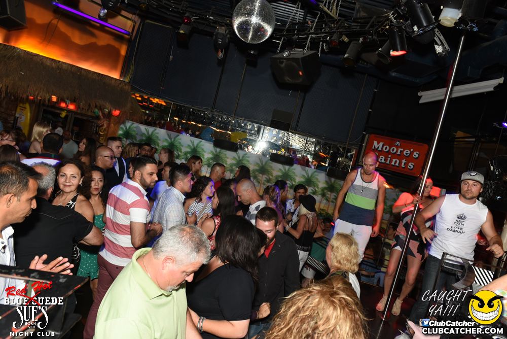 Blue Suede Sues nightclub photo 86 - July 22nd, 2016