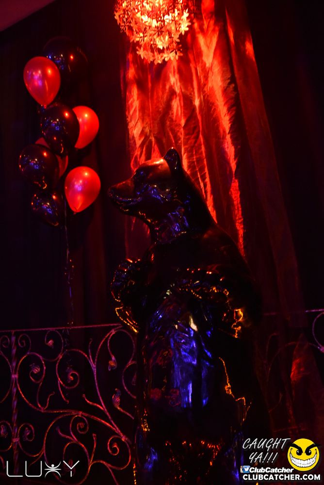 Luxy nightclub photo 91 - August 13th, 2016