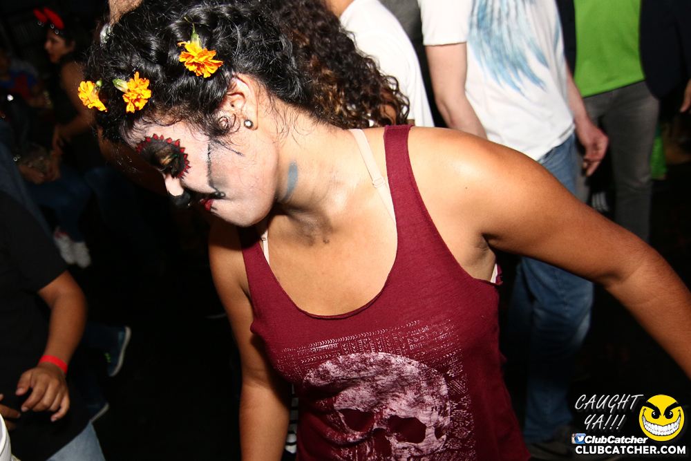 Rockpile party venue photo 138 - November 1st, 2016