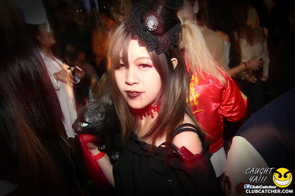 Rockpile party venue photo 207 - November 1st, 2016