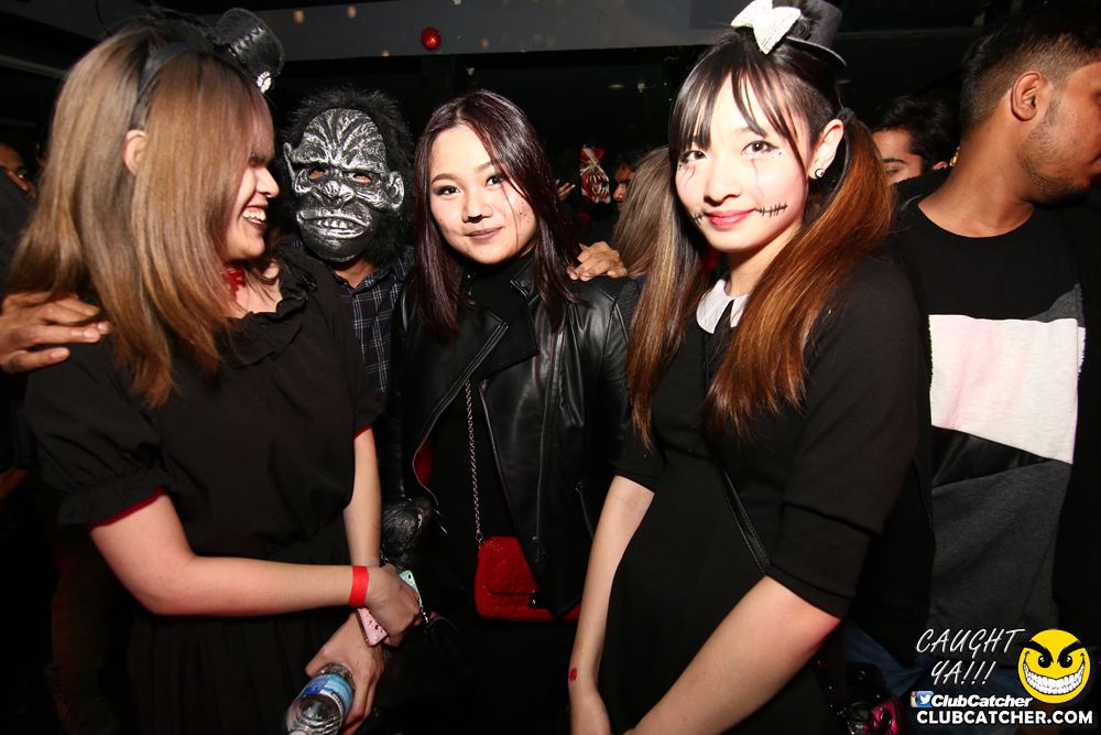 Rockpile party venue photo 208 - November 1st, 2016