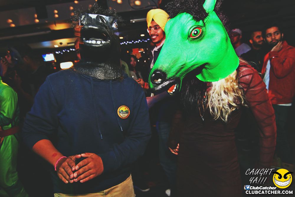 Rockpile party venue photo 289 - November 1st, 2016