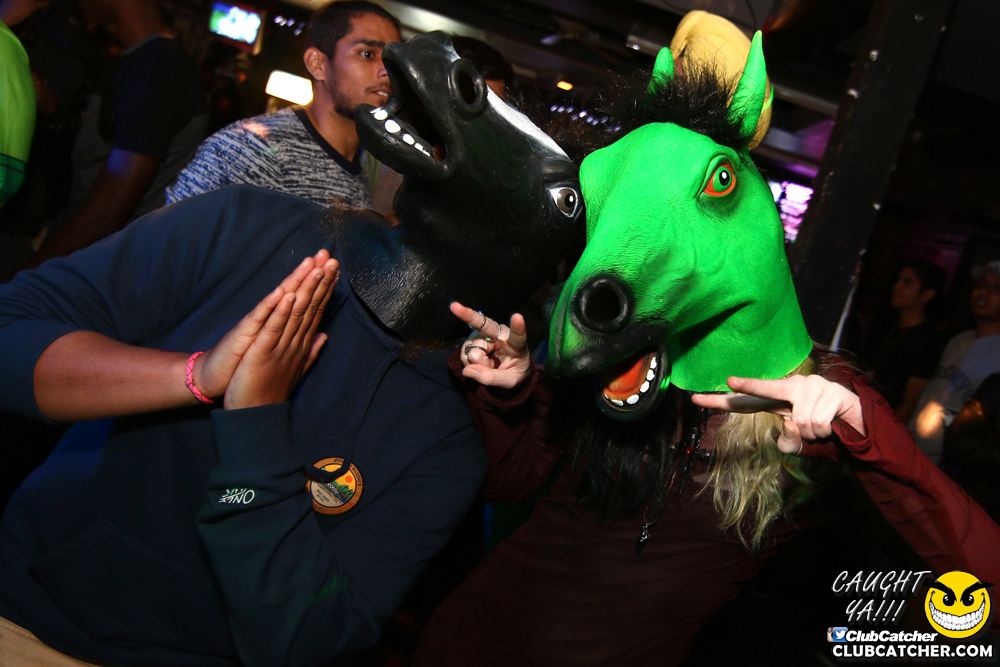 Rockpile party venue photo 83 - November 1st, 2016