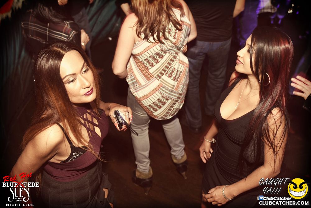 Blue Suede Sues nightclub photo 167 - November 11th, 2016