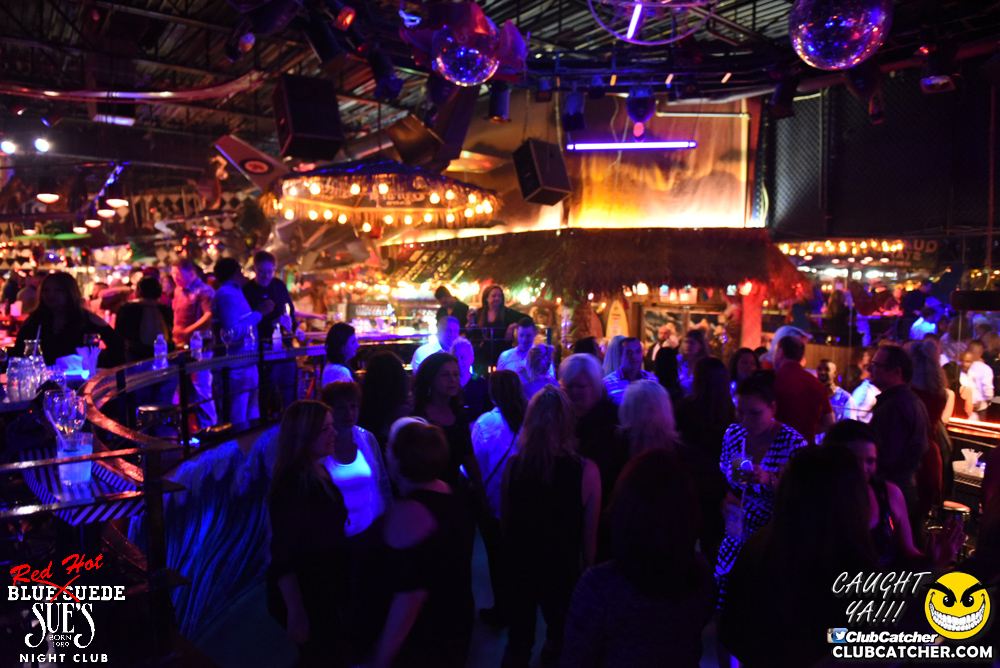 Blue Suede Sues nightclub photo 32 - November 11th, 2016