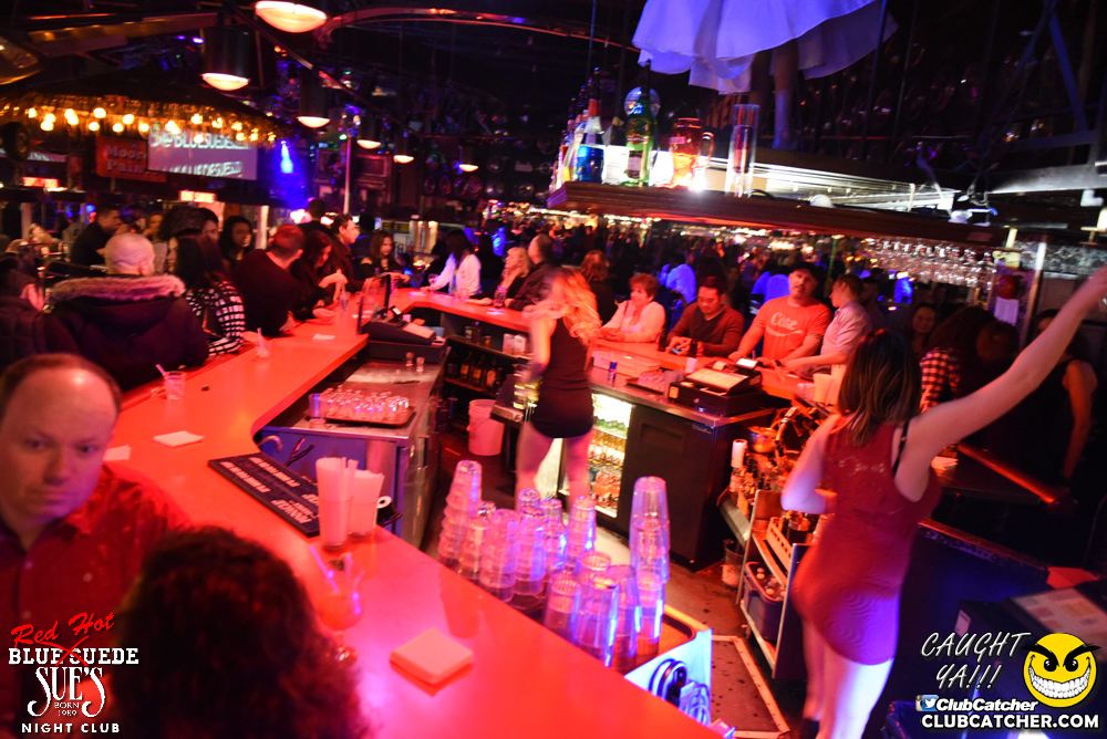 Blue Suede Sues nightclub photo 73 - November 11th, 2016