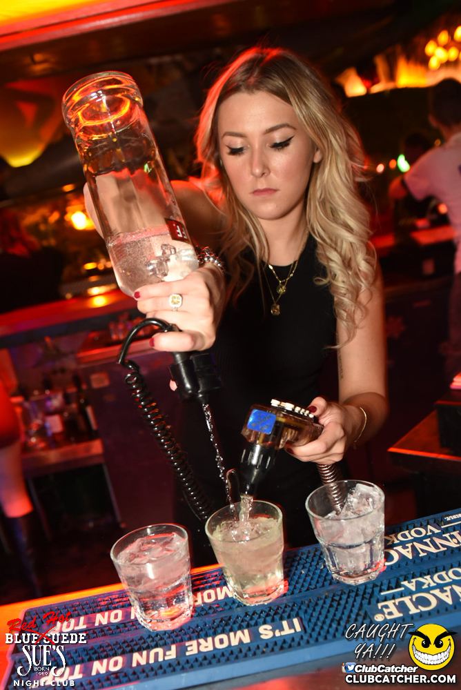 Blue Suede Sues nightclub photo 9 - November 11th, 2016