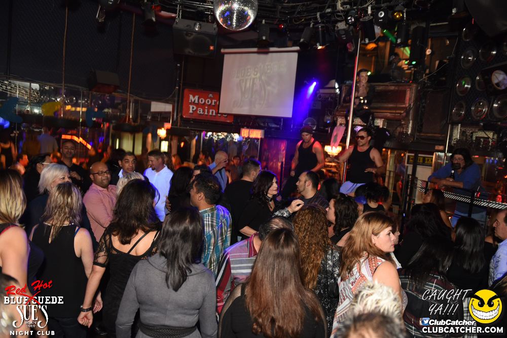 Blue Suede Sues nightclub photo 86 - November 11th, 2016
