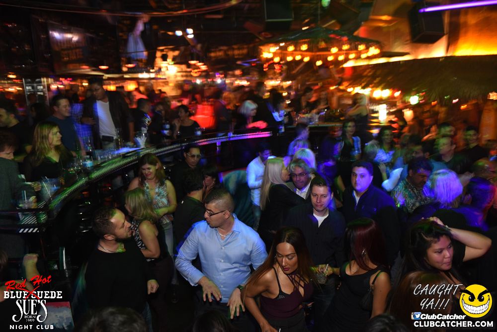 Blue Suede Sues nightclub photo 96 - November 11th, 2016