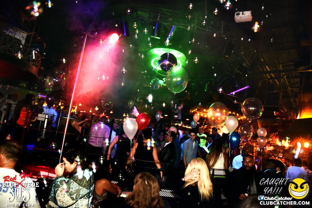 Blue Suede Sues nightclub photo 1 - November 25th, 2016