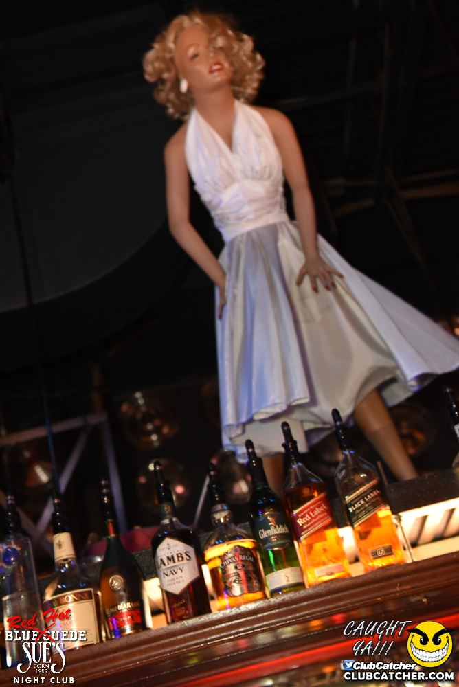 Blue Suede Sues nightclub photo 117 - November 25th, 2016