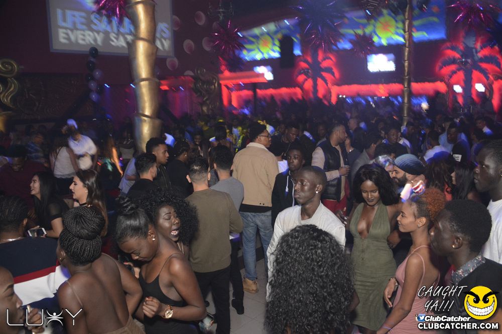 Luxy nightclub photo 170 - December 17th, 2016