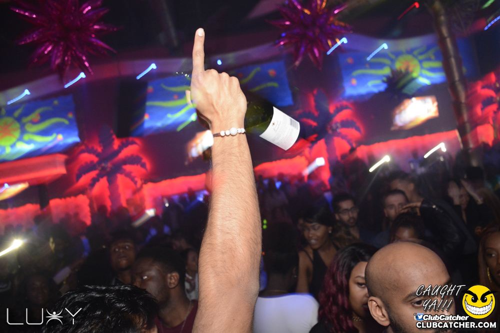 Luxy nightclub photo 177 - January 7th, 2017