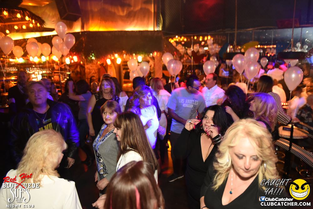Blue Suede Sues nightclub photo 124 - January 13th, 2017