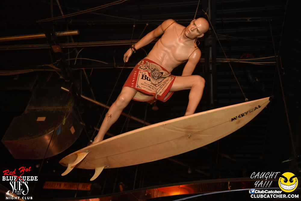 Blue Suede Sues nightclub photo 17 - January 13th, 2017