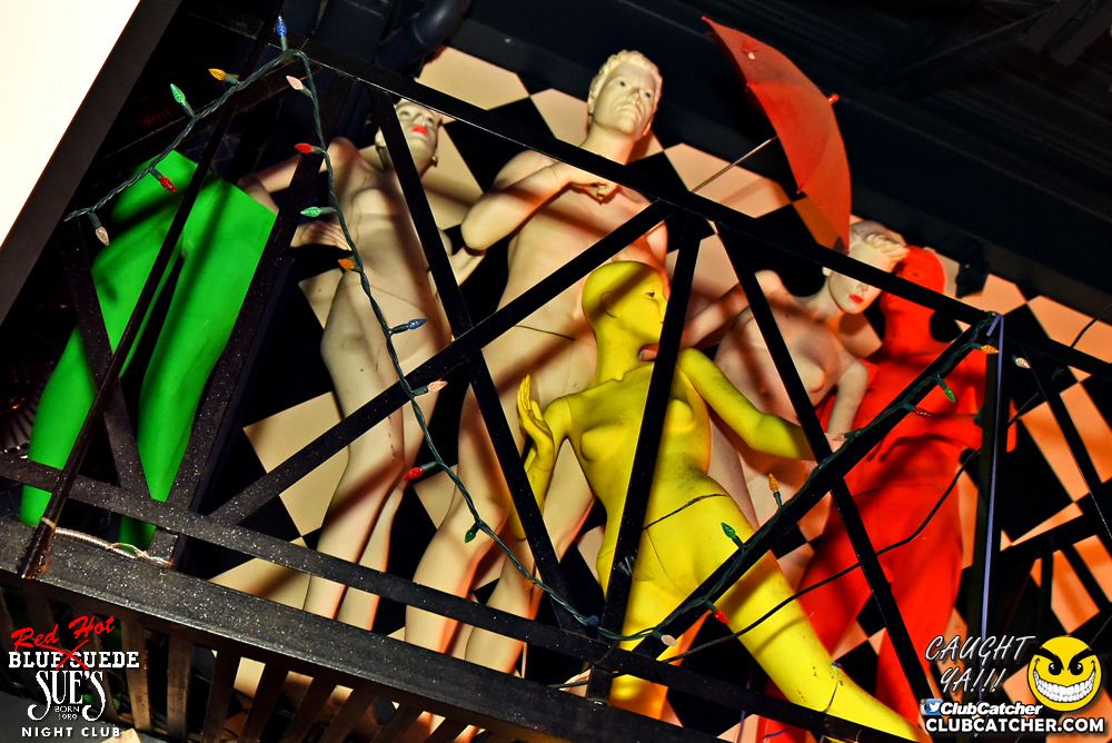 Blue Suede Sues nightclub photo 37 - January 13th, 2017