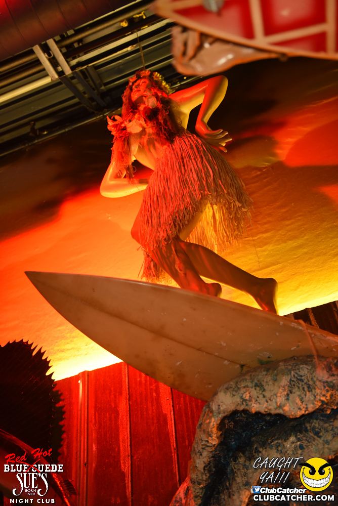 Blue Suede Sues nightclub photo 41 - January 13th, 2017