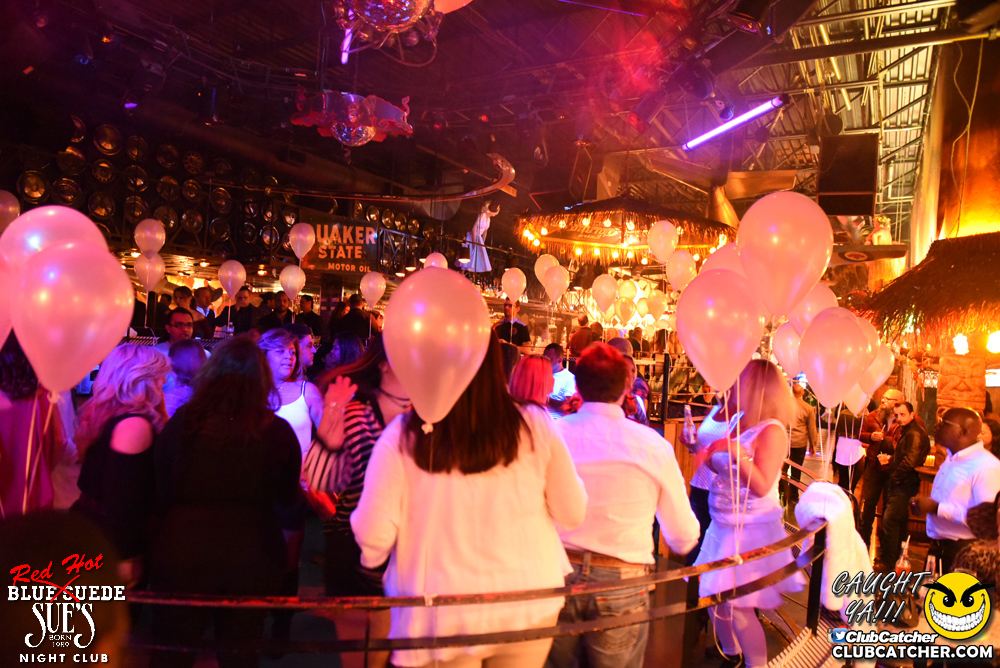 Blue Suede Sues nightclub photo 52 - January 13th, 2017